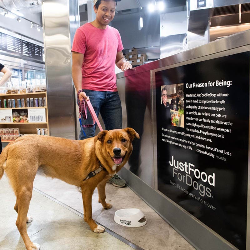 dog in union square petco jffd
