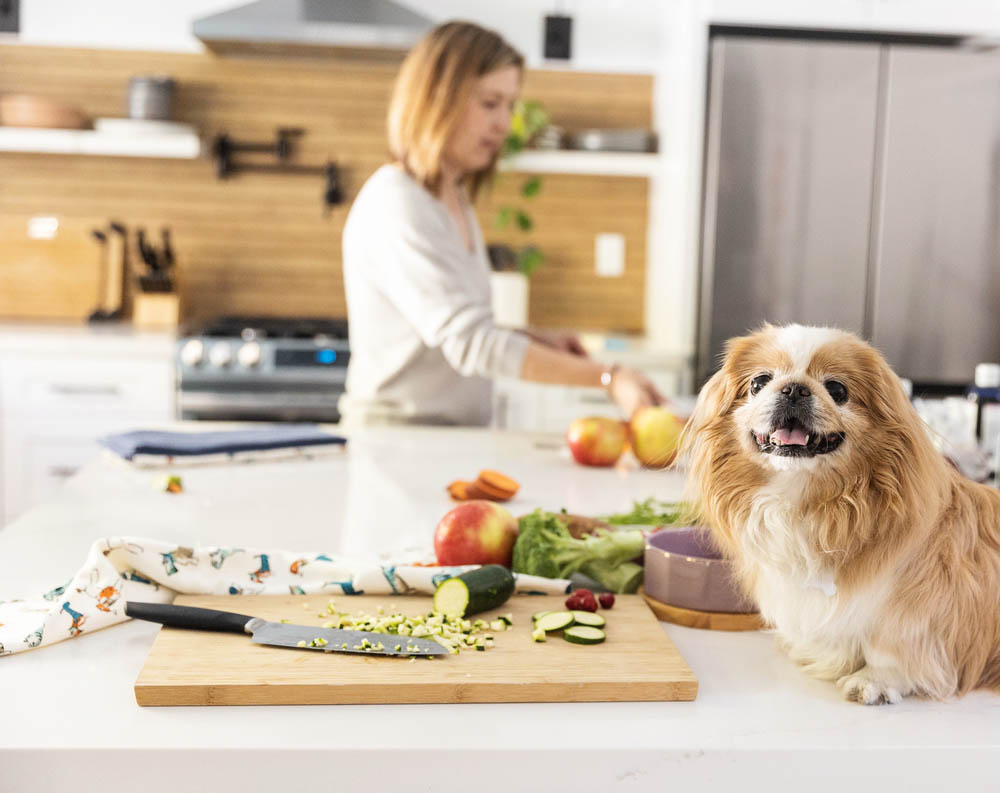 homemade dog food for weight gain