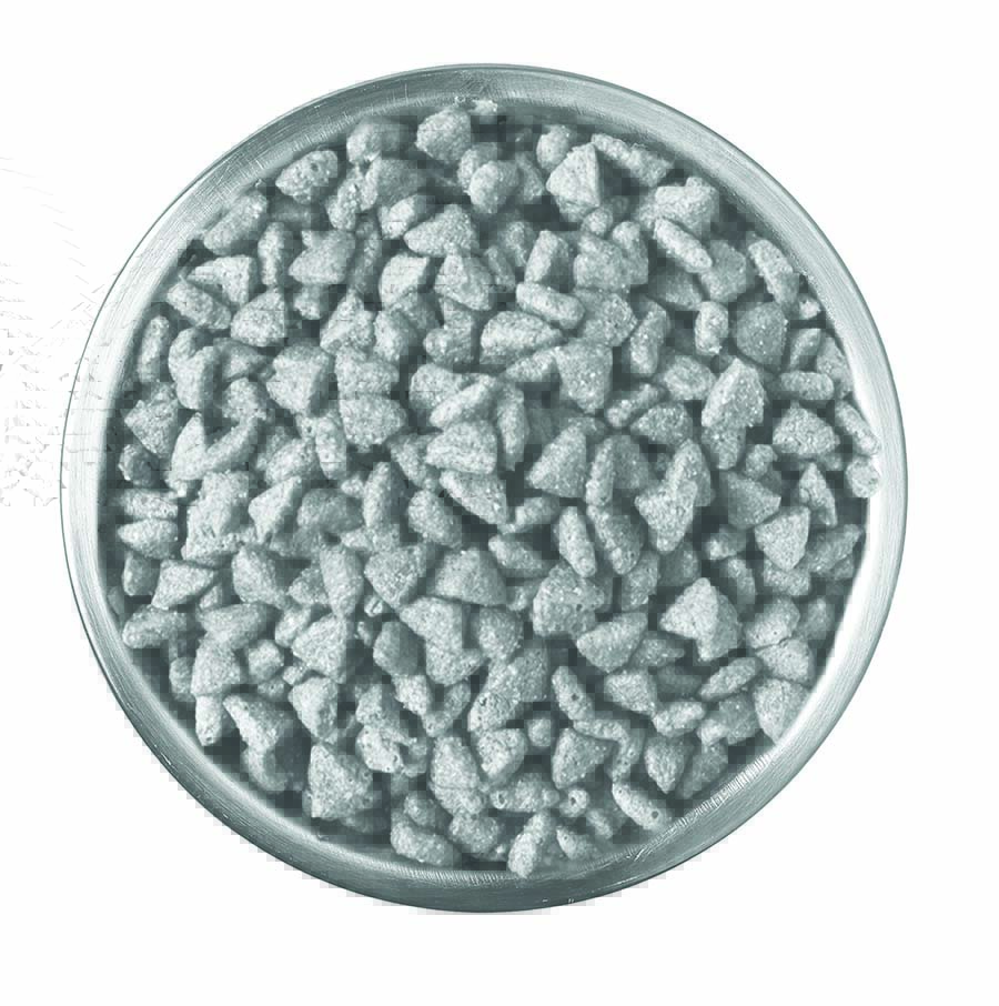 Is Kibble Harming Your Dog’s Quality of Life?